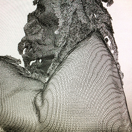 Interrupted 3D scan by artist Paul Coombs